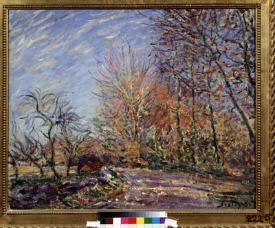 „A la lisiere de la foret de Fontainebleau” (Na skraju lasu w Fontainebleau) Obraz Alfreda Sisleya (1839-1899) 1855 (impresjonizm) Muzeum Sztuk Pięknych im. Puszkina, Moskwa autorstwa Alfred Sisley