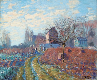 Biała Galaretka - Lato Saint-Martin, 1874 autorstwa Alfred Sisley