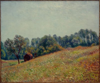 Dolina autorstwa Alfred Sisley