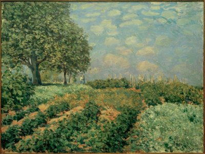 Pola autorstwa Alfred Sisley