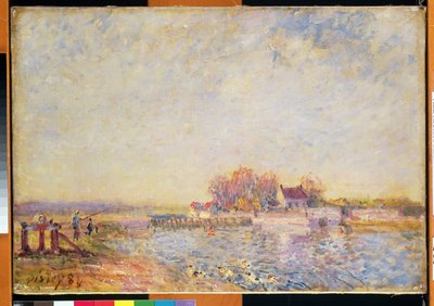 Scena rzeczna z kaczkami, 1881 autorstwa Alfred Sisley