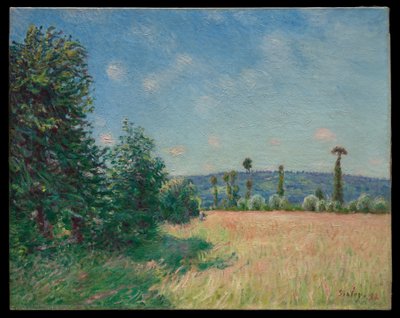 Łąki w Sahurs w porannym słońcu autorstwa Alfred Sisley