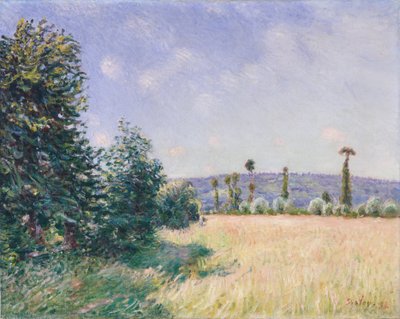 Łąki Sahurs w porannym słońcu, 1894 autorstwa Alfred Sisley