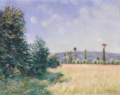 Sahurs Meadows w porannym słońcu, 1894. autorstwa Alfred Sisley