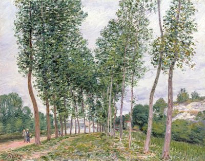 Aleja topoli wzdłuż brzegów Loing autorstwa Alfred Sisley