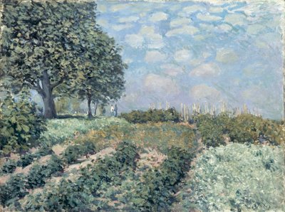 Ogrody Targowe autorstwa Alfred Sisley