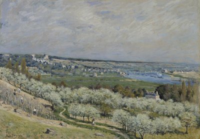 Taras w Saint-Germain, Spring autorstwa Alfred Sisley