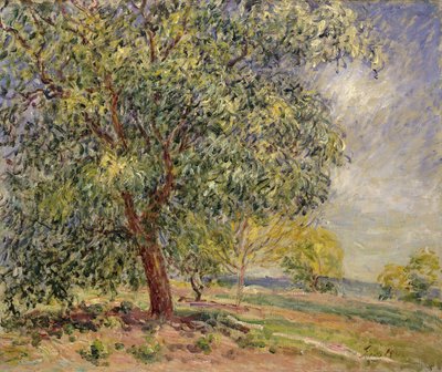 Drzewo orzecha włoskiego w Sablons na wiosnę; Orzech włoski w Les Sablons, wiosna, 1885 autorstwa Alfred Sisley