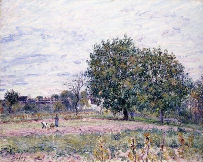 Orzech włoski, efekt zachodzącego słońca — pierwszy dzień października 1882 r. autorstwa Alfred Sisley