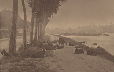  autorstwa Alfred Stieglitz