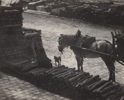 Migawka, Paryż autorstwa Alfred Stieglitz