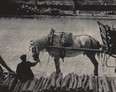 Migawka, Paryż autorstwa Alfred Stieglitz