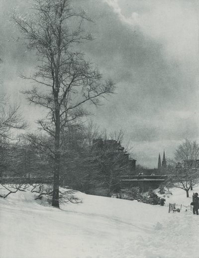 Zimowe niebo — Central Park autorstwa Alfred Stieglitz