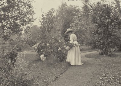 W Oaklawn autorstwa Alfred Stieglitz