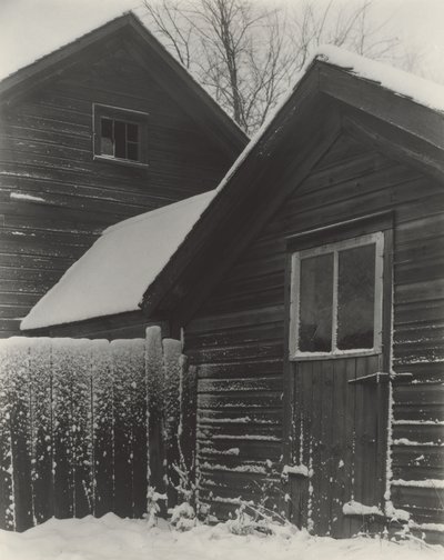 Dzieci i śnieg autorstwa Alfred Stieglitz