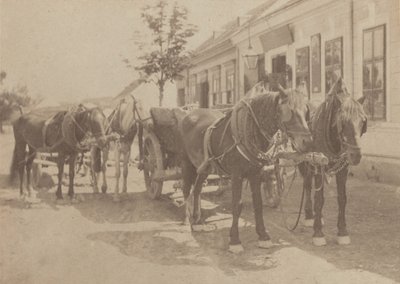 Przed tawerną autorstwa Alfred Stieglitz