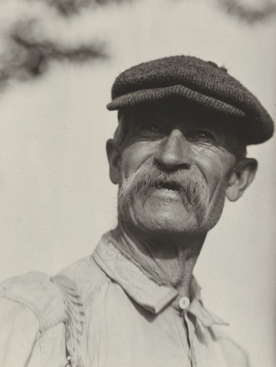  autorstwa Alfred Stieglitz