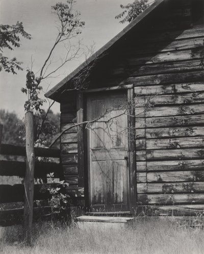  autorstwa Alfred Stieglitz