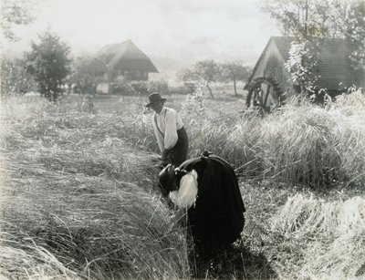 Wczesny poranek autorstwa Alfred Stieglitz