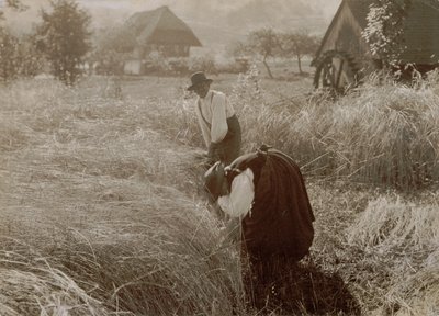 Wczesny poranek autorstwa Alfred Stieglitz