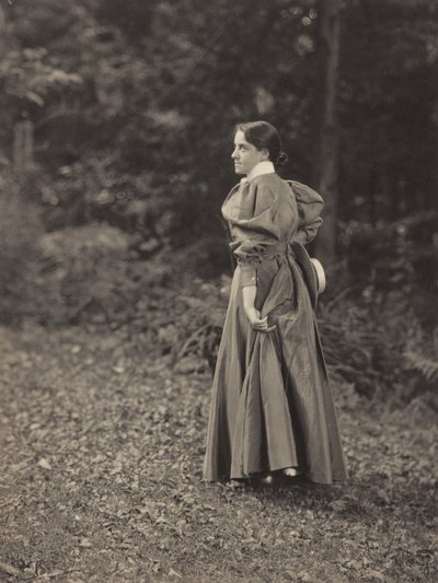  autorstwa Alfred Stieglitz