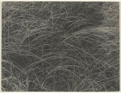Równowartość autorstwa Alfred Stieglitz