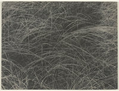 Odpowiednik, 1927. autorstwa Alfred Stieglitz