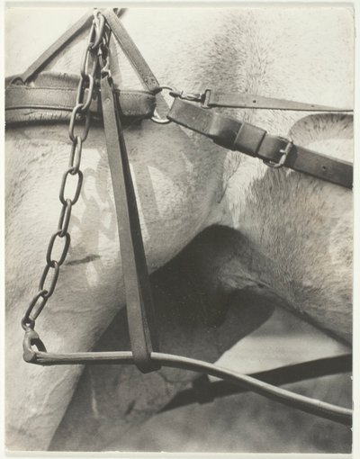 Odpowiednik, Duchowa Ameryka autorstwa Alfred Stieglitz