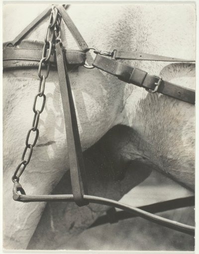 Odpowiednik, Duchowa Ameryka, 1923. autorstwa Alfred Stieglitz