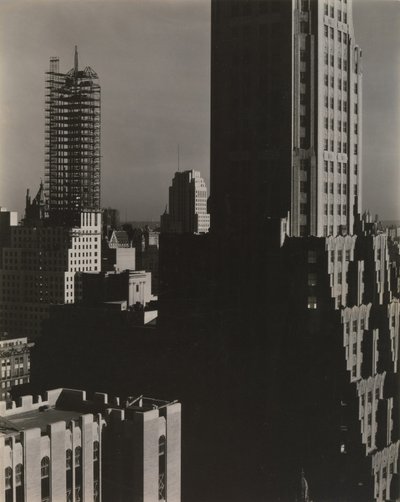 Z mojego okna w Shelton na północy autorstwa Alfred Stieglitz