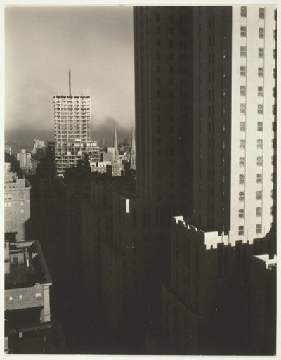 Z mojego okna w Shelton, West autorstwa Alfred Stieglitz