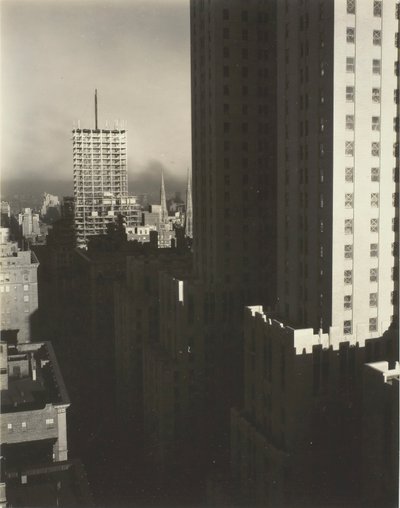 Z mojego okna w Shelton, West, 1931. autorstwa Alfred Stieglitz