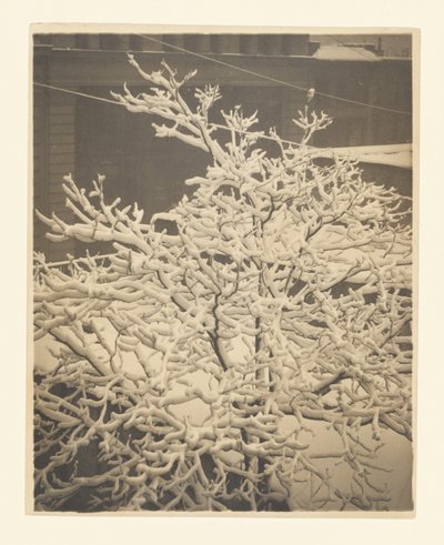 Z tylnego okna budynku nr 291 autorstwa Alfred Stieglitz