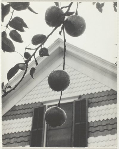 Szczyt i jabłka autorstwa Alfred Stieglitz