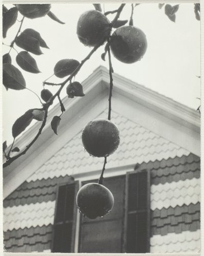 Szczyt i jabłka, 1922. autorstwa Alfred Stieglitz