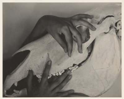  autorstwa Alfred Stieglitz