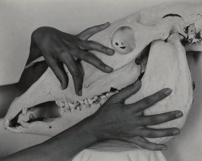  autorstwa Alfred Stieglitz