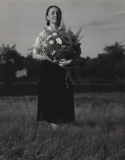 Georgia O’Keeffe autorstwa Alfred Stieglitz