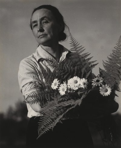 Georgia O’Keeffe autorstwa Alfred Stieglitz