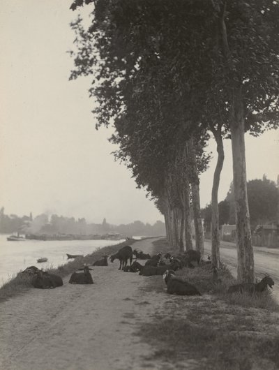  autorstwa Alfred Stieglitz