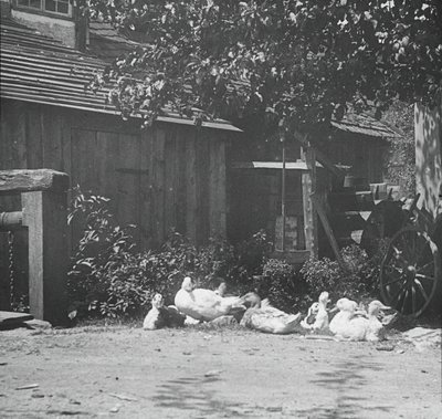 Gutach, 1894. autorstwa Alfred Stieglitz