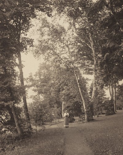  autorstwa Alfred Stieglitz