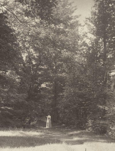  autorstwa Alfred Stieglitz