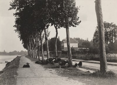 W drodze do domu autorstwa Alfred Stieglitz