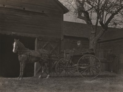 Koń i powóz autorstwa Alfred Stieglitz