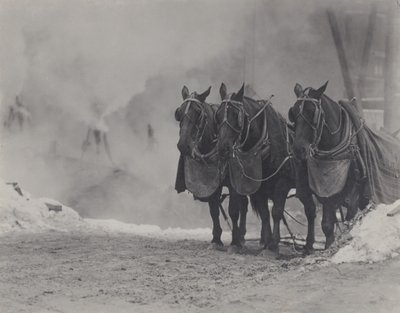 Konie, Nowy Jork autorstwa Alfred Stieglitz