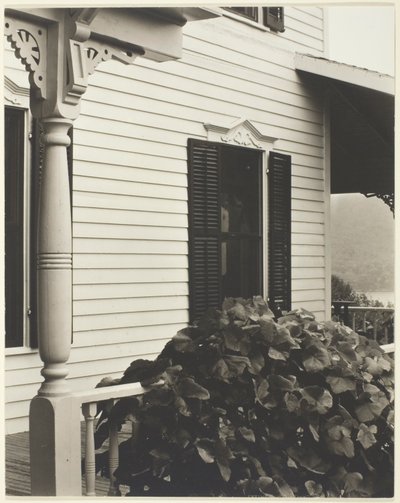 Dom i liście winogron autorstwa Alfred Stieglitz