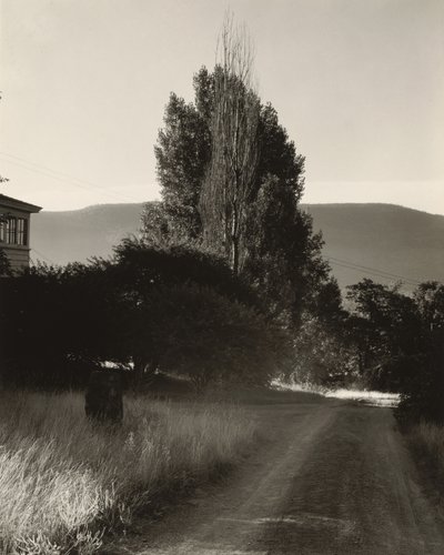  autorstwa Alfred Stieglitz