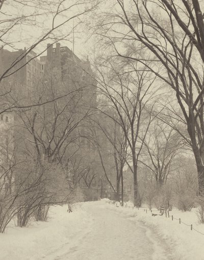 W parku autorstwa Alfred Stieglitz