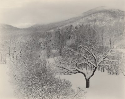 Jezioro George autorstwa Alfred Stieglitz